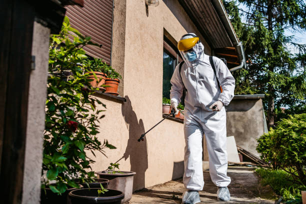 Best Cockroach Control Services  in Mansfield, OH