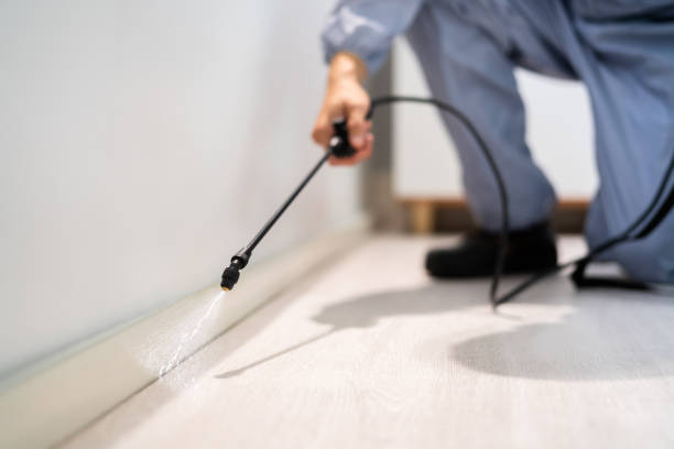 Best Local Pest Control Services  in Mansfield, OH