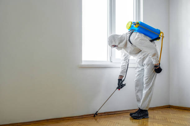 Best Insect Control  in Mansfield, OH
