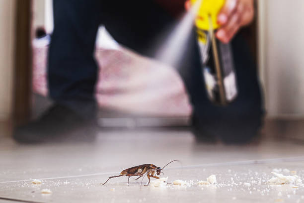 Best Pest Inspection Near Me  in Mansfield, OH