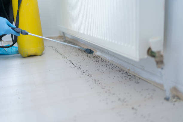 Best Pest Control Near Me in Mansfield, OH
