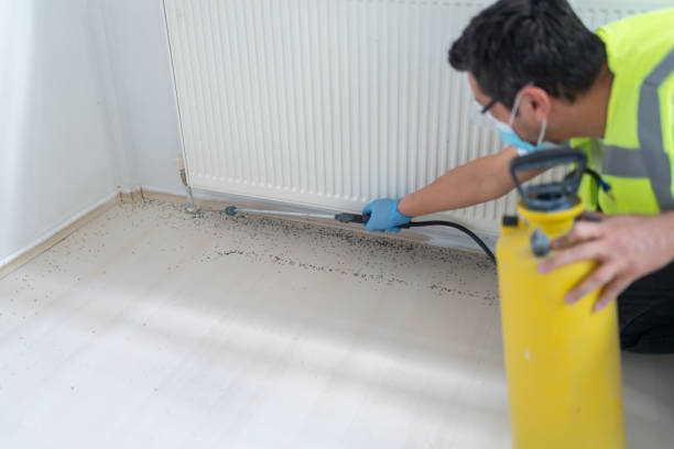 Best Pest Prevention Services  in Mansfield, OH