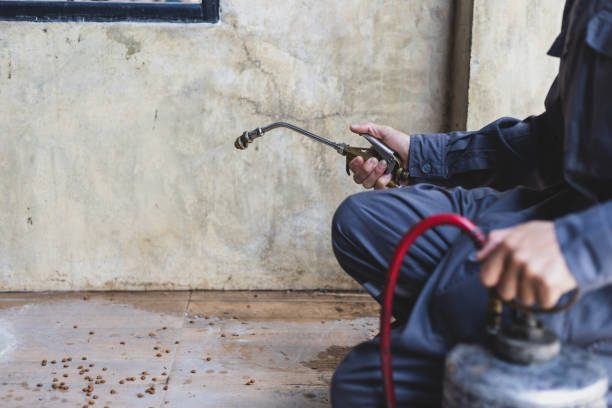 Best Wasp Removal Services  in Mansfield, OH